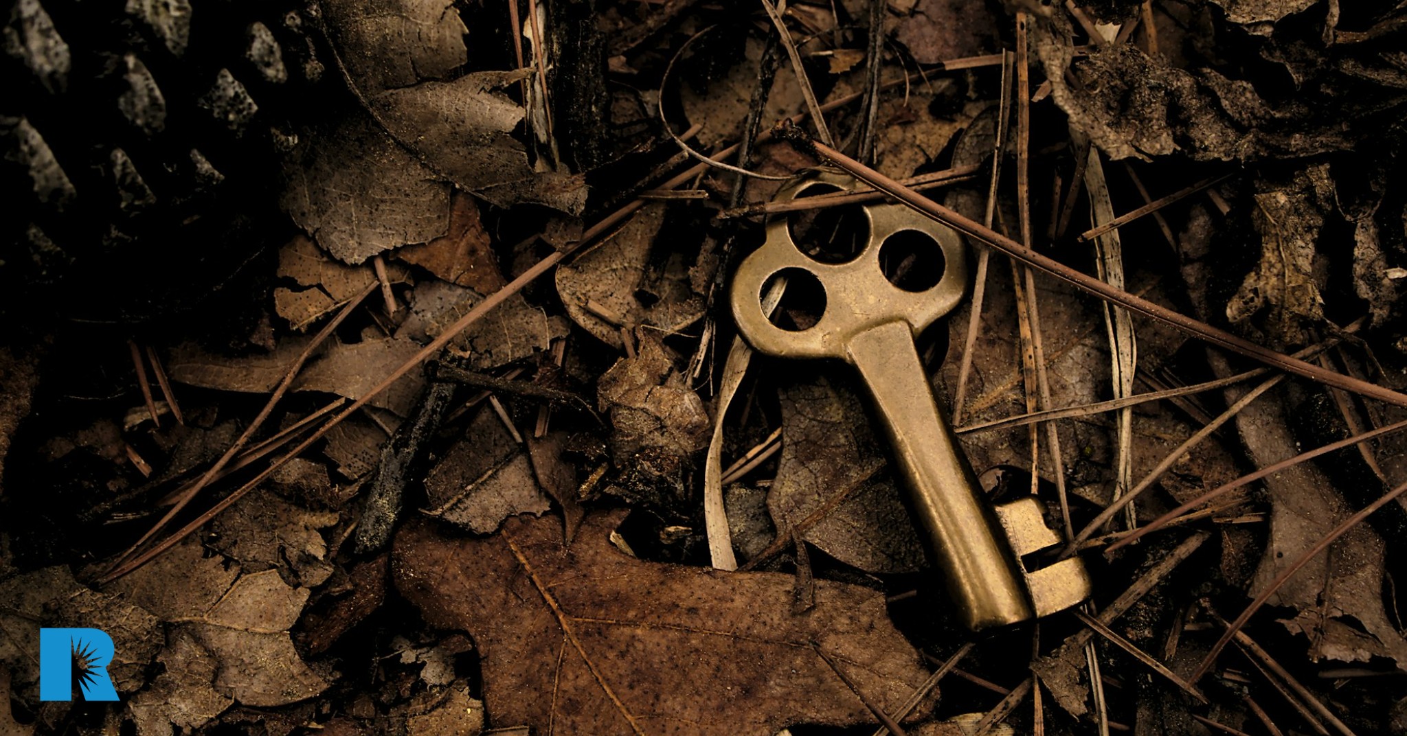A photo illustration of a key that has been dropped in the underbrush.